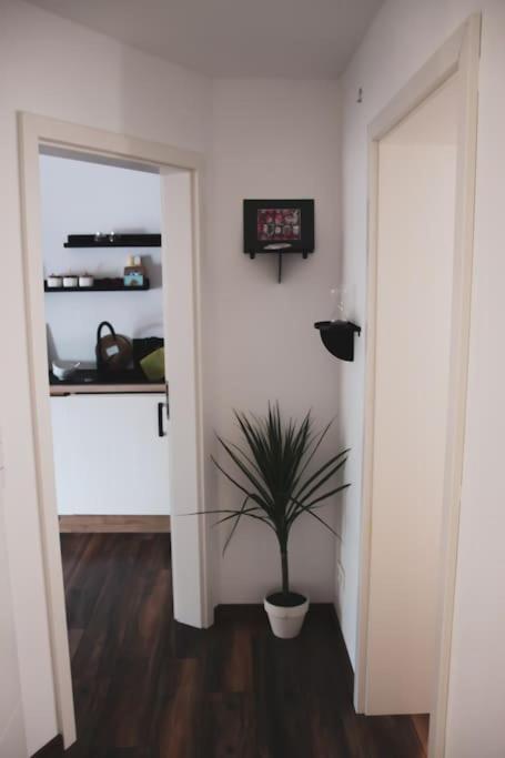 Schoene Wohnung Top Lage Koeln Work & Relax & Travel Frechen Esterno foto
